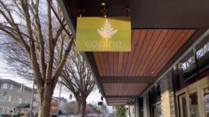 Seattle visual data 4